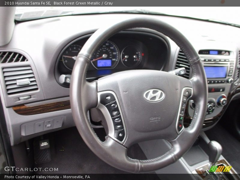 Black Forest Green Metallic / Gray 2010 Hyundai Santa Fe SE