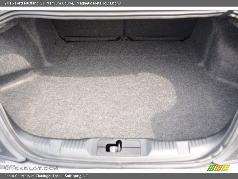 Magnetic Metallic / Ebony 2016 Ford Mustang GT Premium Coupe