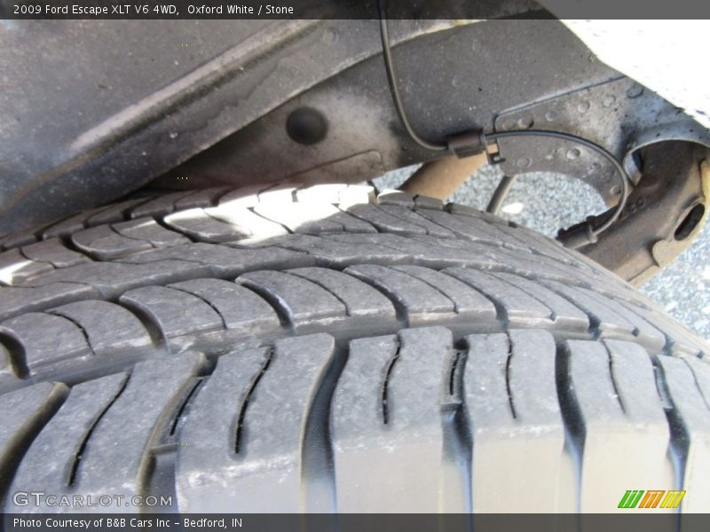 Oxford White / Stone 2009 Ford Escape XLT V6 4WD