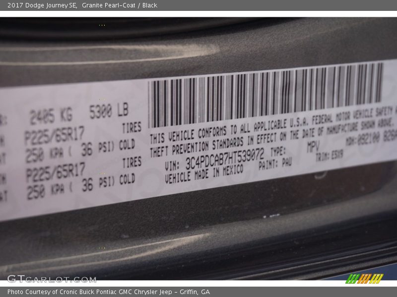 Granite Pearl-Coat / Black 2017 Dodge Journey SE