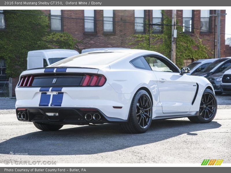 Oxford White / Ebony 2016 Ford Mustang Shelby GT350