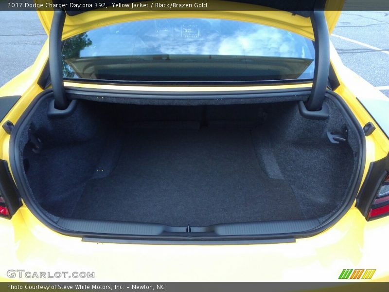 Yellow Jacket / Black/Brazen Gold 2017 Dodge Charger Daytona 392