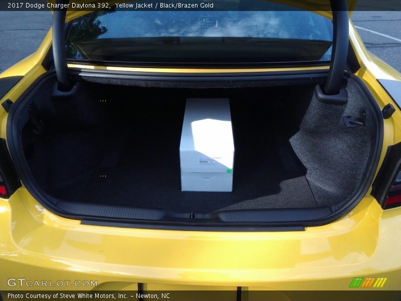 Yellow Jacket / Black/Brazen Gold 2017 Dodge Charger Daytona 392