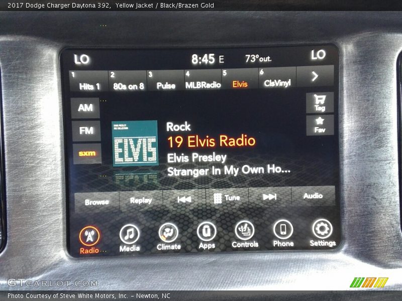 Yellow Jacket / Black/Brazen Gold 2017 Dodge Charger Daytona 392