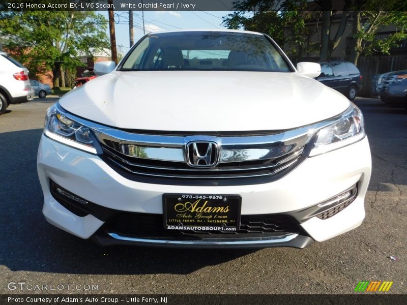 White Orchid Pearl / Ivory 2016 Honda Accord EX-L V6 Sedan