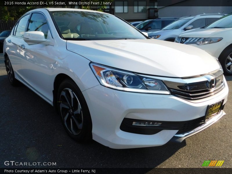 White Orchid Pearl / Ivory 2016 Honda Accord EX-L V6 Sedan