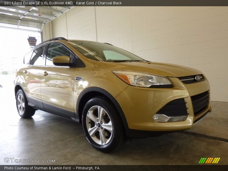 Karat Gold / Charcoal Black 2014 Ford Escape SE 1.6L EcoBoost 4WD
