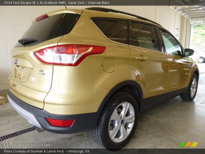 Karat Gold / Charcoal Black 2014 Ford Escape SE 1.6L EcoBoost 4WD