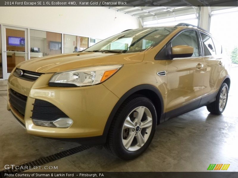 Karat Gold / Charcoal Black 2014 Ford Escape SE 1.6L EcoBoost 4WD