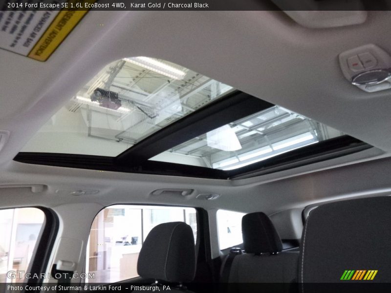 Karat Gold / Charcoal Black 2014 Ford Escape SE 1.6L EcoBoost 4WD