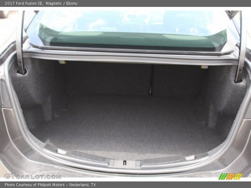 Magnetic / Ebony 2017 Ford Fusion SE