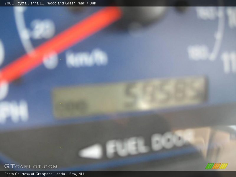 Woodland Green Pearl / Oak 2001 Toyota Sienna LE