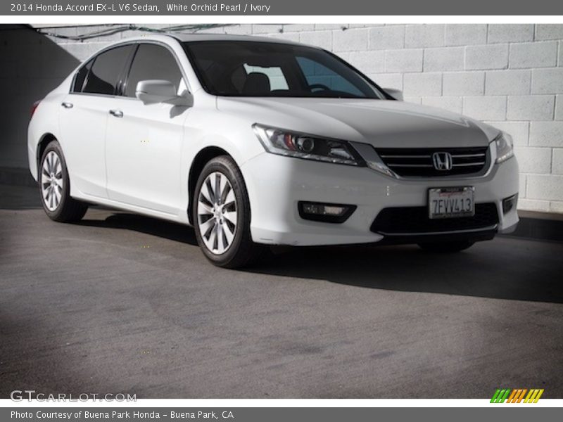 White Orchid Pearl / Ivory 2014 Honda Accord EX-L V6 Sedan