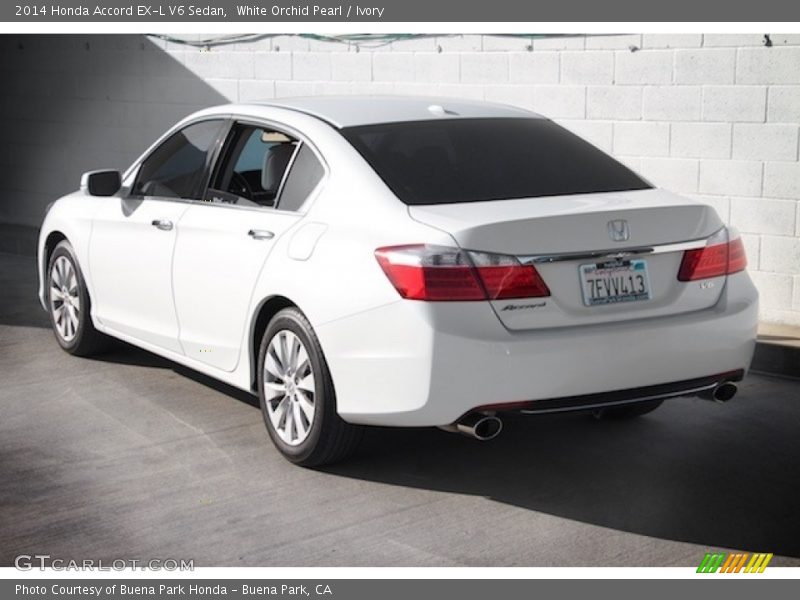 White Orchid Pearl / Ivory 2014 Honda Accord EX-L V6 Sedan