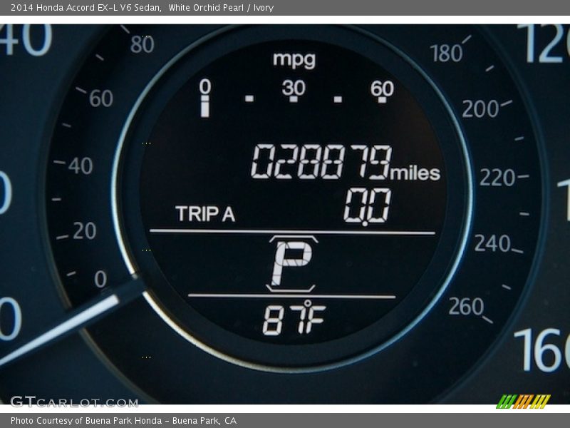 White Orchid Pearl / Ivory 2014 Honda Accord EX-L V6 Sedan