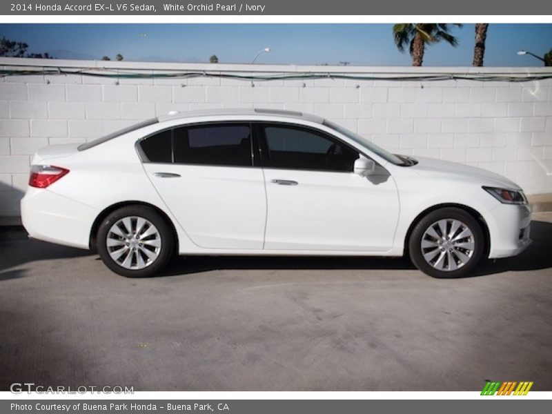 White Orchid Pearl / Ivory 2014 Honda Accord EX-L V6 Sedan