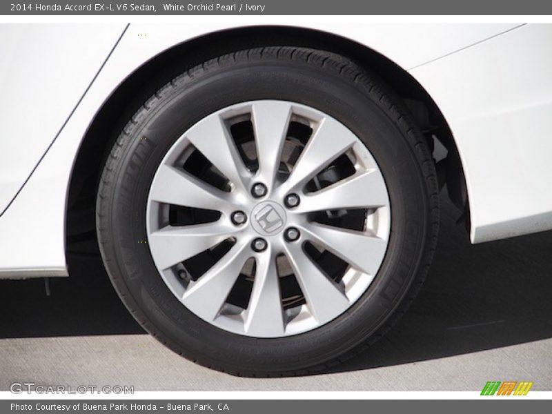 White Orchid Pearl / Ivory 2014 Honda Accord EX-L V6 Sedan