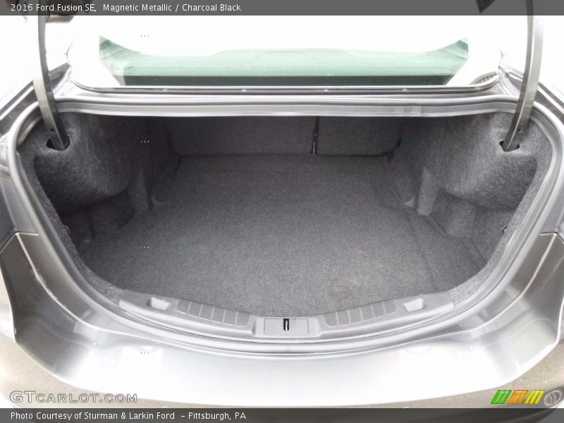 Magnetic Metallic / Charcoal Black 2016 Ford Fusion SE