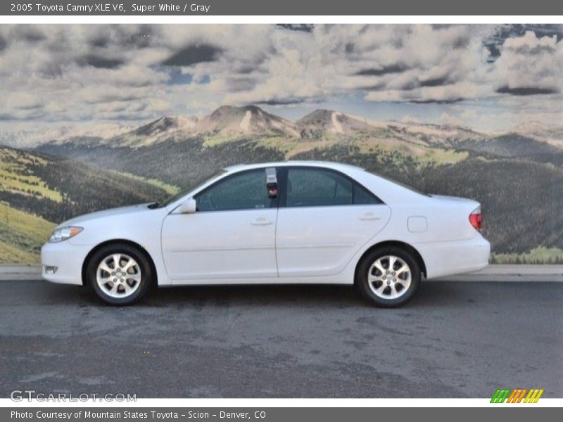 Super White / Gray 2005 Toyota Camry XLE V6