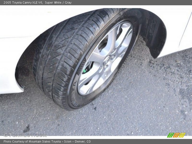 Super White / Gray 2005 Toyota Camry XLE V6