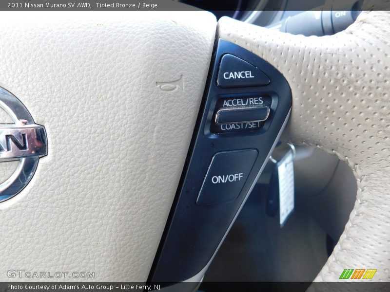 Tinted Bronze / Beige 2011 Nissan Murano SV AWD