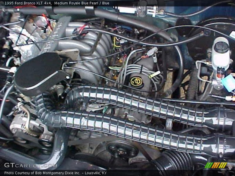 Medium Royale Blue Pearl / Blue 1995 Ford Bronco XLT 4x4