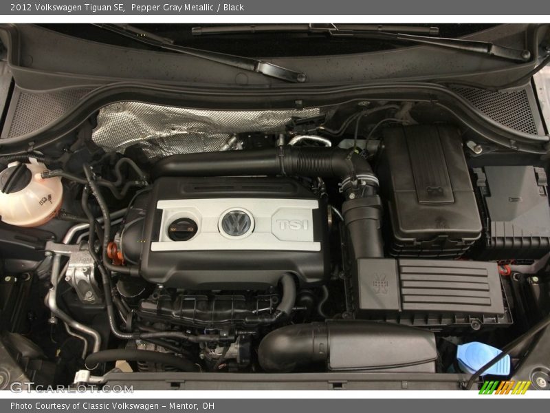 Pepper Gray Metallic / Black 2012 Volkswagen Tiguan SE