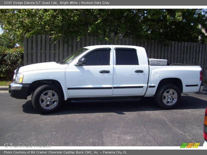 Bright White / Medium Slate Gray 2005 Dodge Dakota SLT Quad Cab