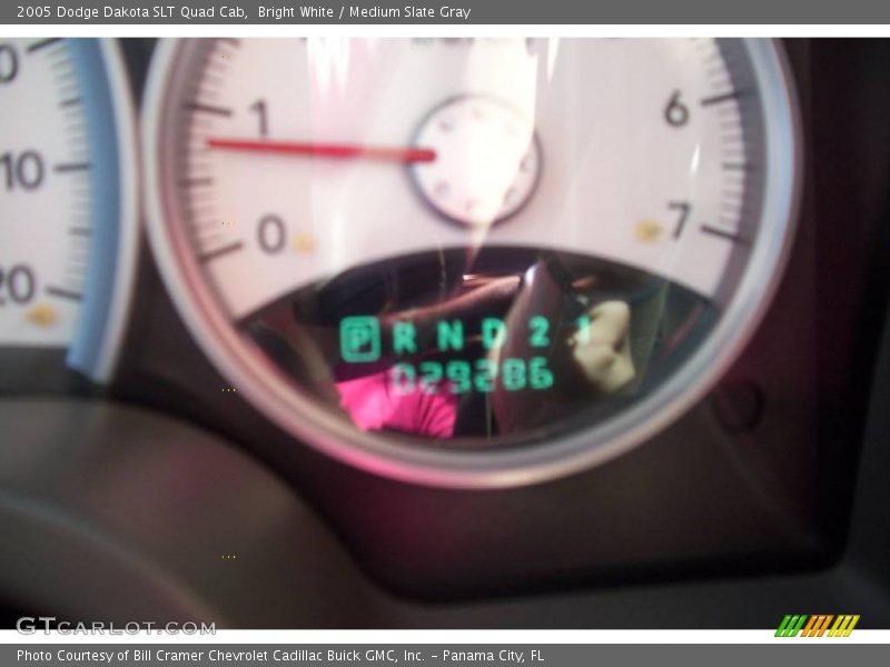 Bright White / Medium Slate Gray 2005 Dodge Dakota SLT Quad Cab