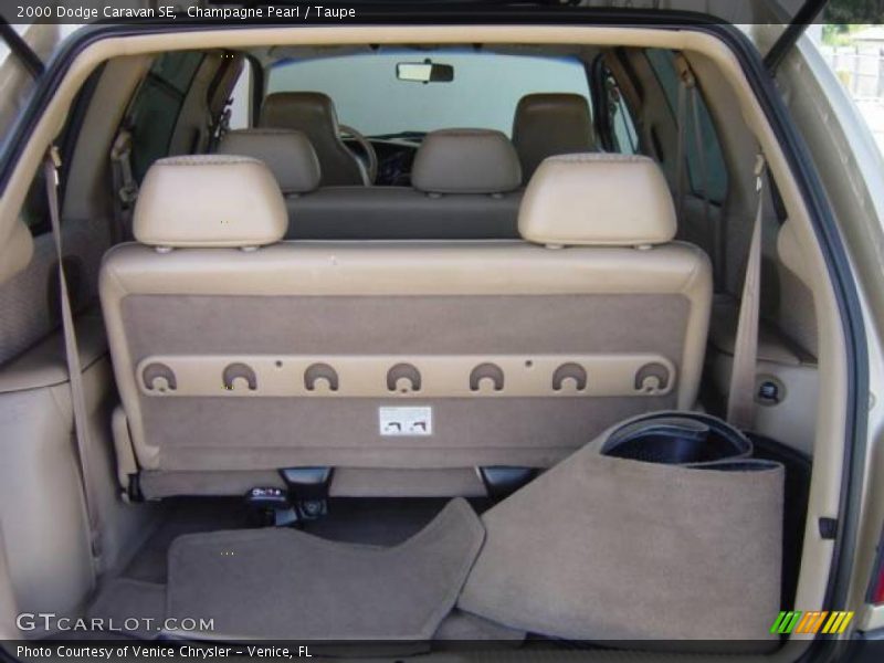 Champagne Pearl / Taupe 2000 Dodge Caravan SE