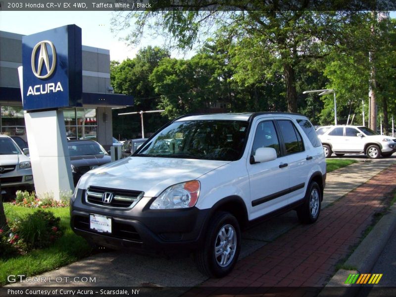 Taffeta White / Black 2003 Honda CR-V EX 4WD