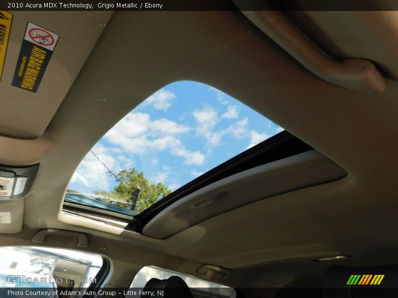 Grigio Metallic / Ebony 2010 Acura MDX Technology