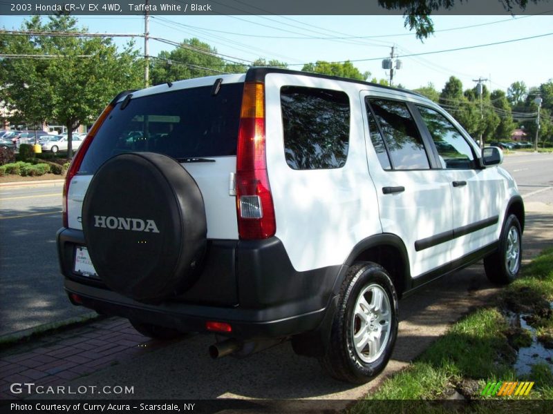 Taffeta White / Black 2003 Honda CR-V EX 4WD