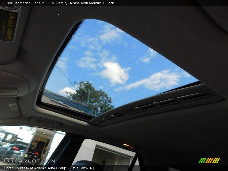 Alpine Rain Metallic / Black 2006 Mercedes-Benz ML 350 4Matic
