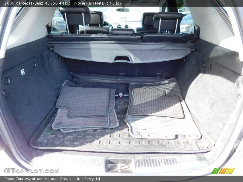 Alpine Rain Metallic / Black 2006 Mercedes-Benz ML 350 4Matic