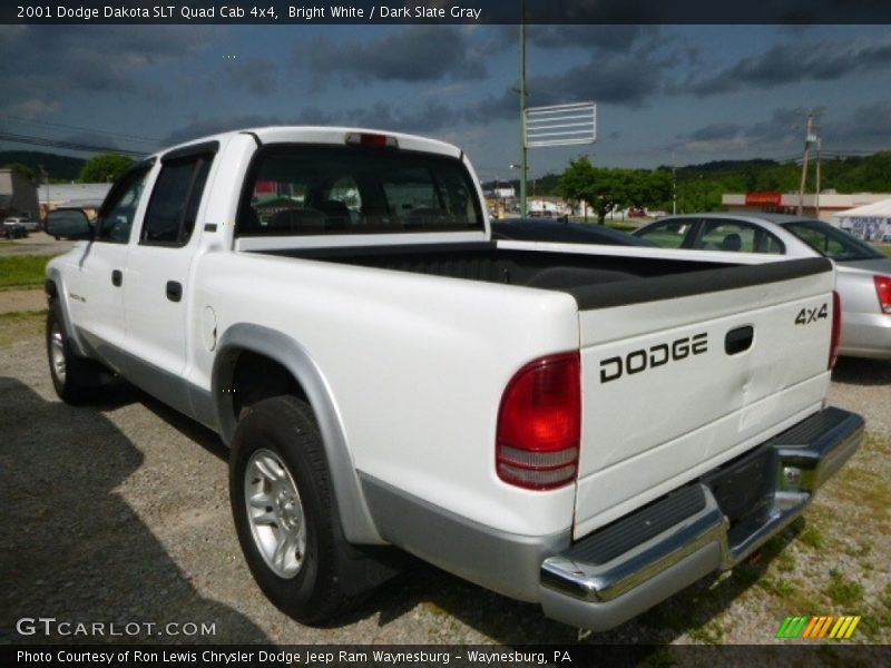 Bright White / Dark Slate Gray 2001 Dodge Dakota SLT Quad Cab 4x4