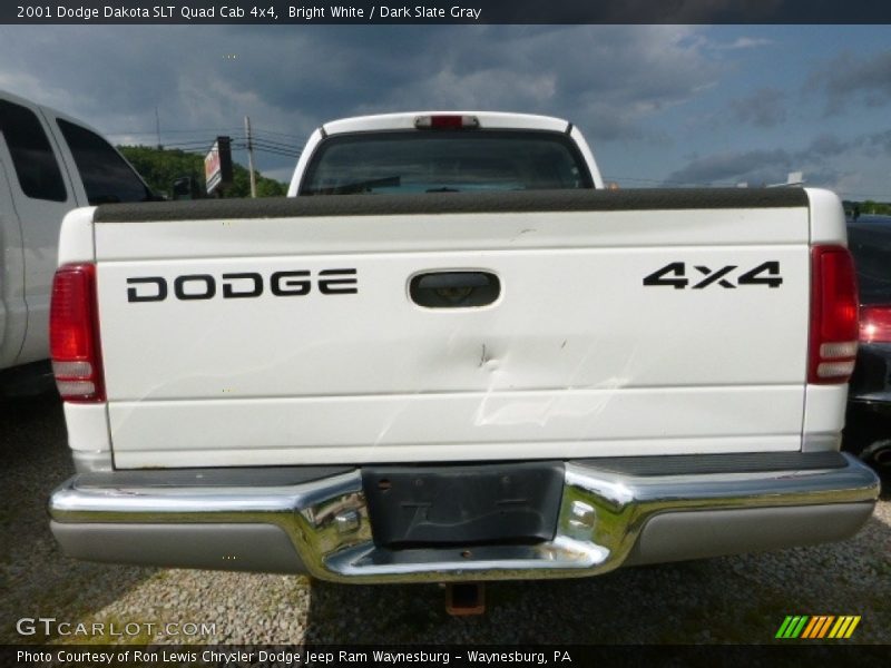 Bright White / Dark Slate Gray 2001 Dodge Dakota SLT Quad Cab 4x4