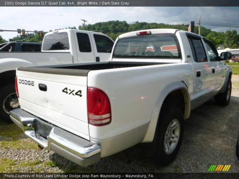 Bright White / Dark Slate Gray 2001 Dodge Dakota SLT Quad Cab 4x4