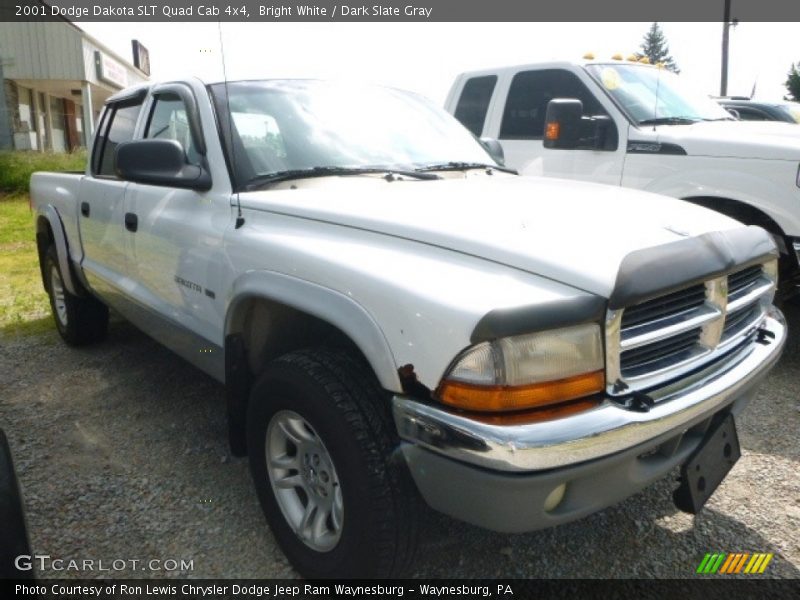 Bright White / Dark Slate Gray 2001 Dodge Dakota SLT Quad Cab 4x4