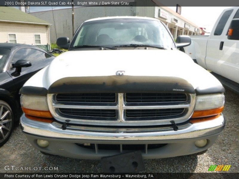 Bright White / Dark Slate Gray 2001 Dodge Dakota SLT Quad Cab 4x4