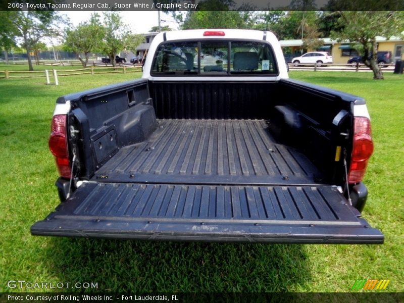 Super White / Graphite Gray 2009 Toyota Tacoma Regular Cab