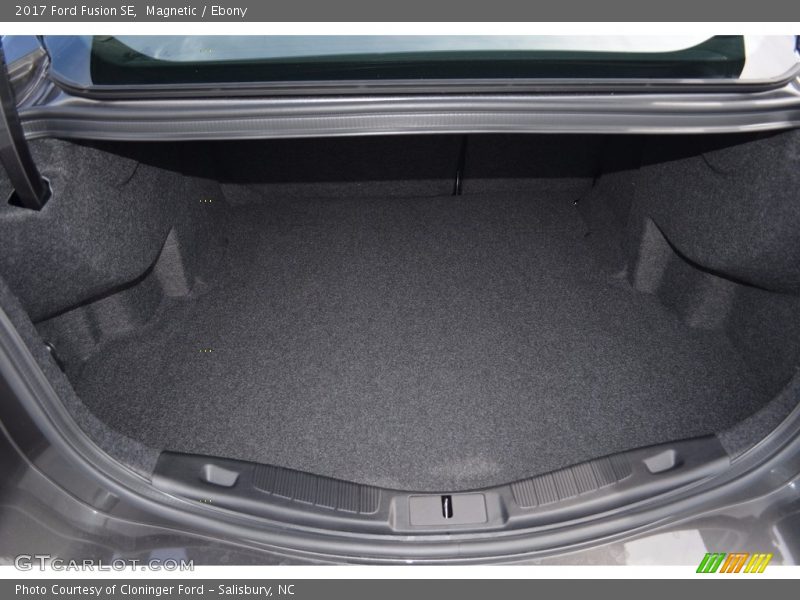 Magnetic / Ebony 2017 Ford Fusion SE