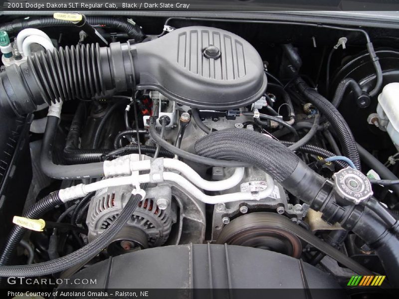 Black / Dark Slate Gray 2001 Dodge Dakota SLT Regular Cab