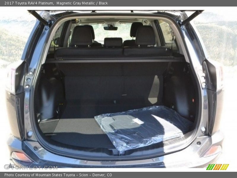 Magnetic Gray Metallic / Black 2017 Toyota RAV4 Platinum