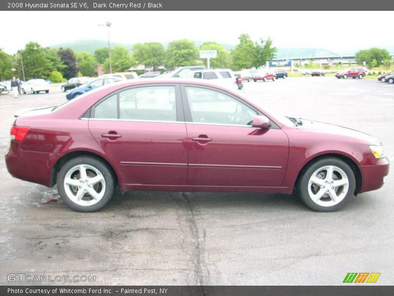 Dark Cherry Red / Black 2008 Hyundai Sonata SE V6