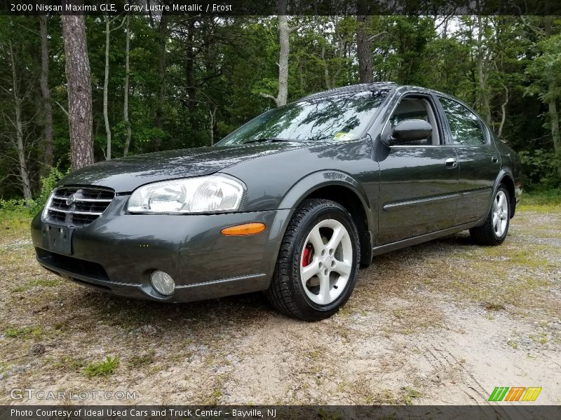 Gray Lustre Metallic / Frost 2000 Nissan Maxima GLE