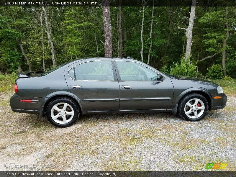 Gray Lustre Metallic / Frost 2000 Nissan Maxima GLE