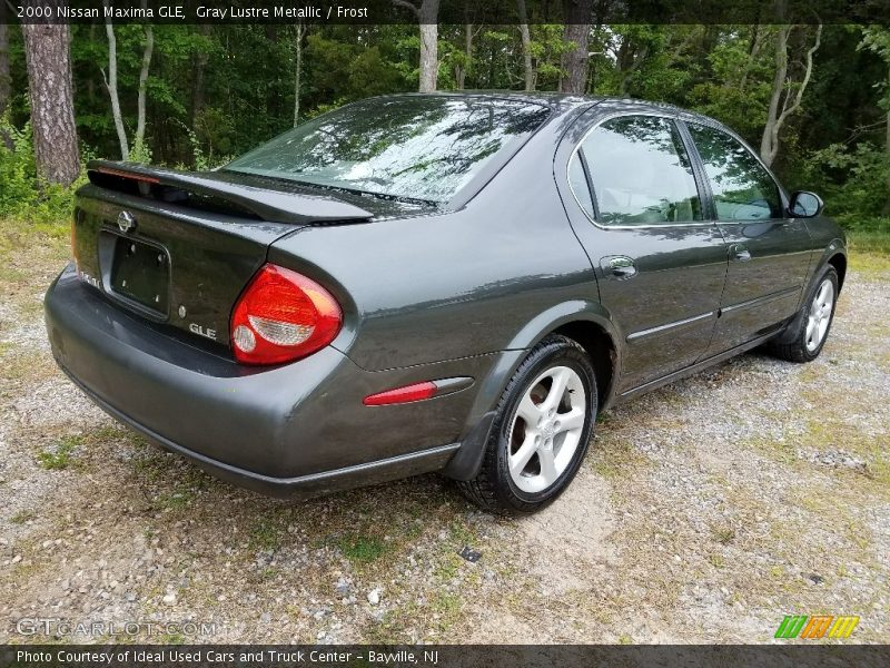 Gray Lustre Metallic / Frost 2000 Nissan Maxima GLE