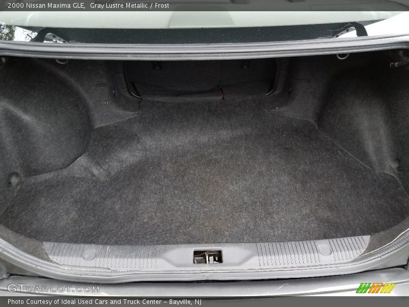 Gray Lustre Metallic / Frost 2000 Nissan Maxima GLE