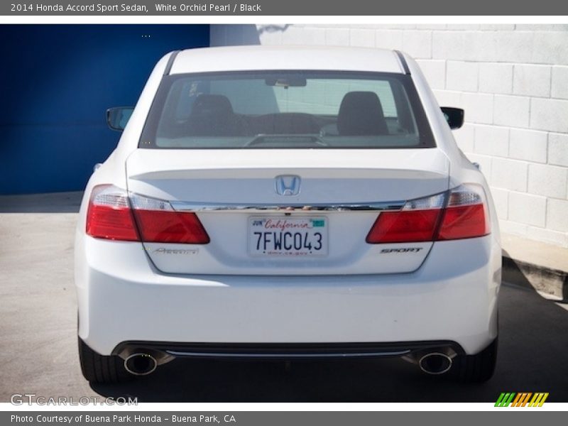 White Orchid Pearl / Black 2014 Honda Accord Sport Sedan